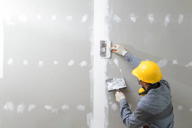 Best Residential Mold Inspection & Testing  in Sierra Vista Southeast, AZ